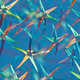 Illustration for article titled The Best Science Visualizations of the Year